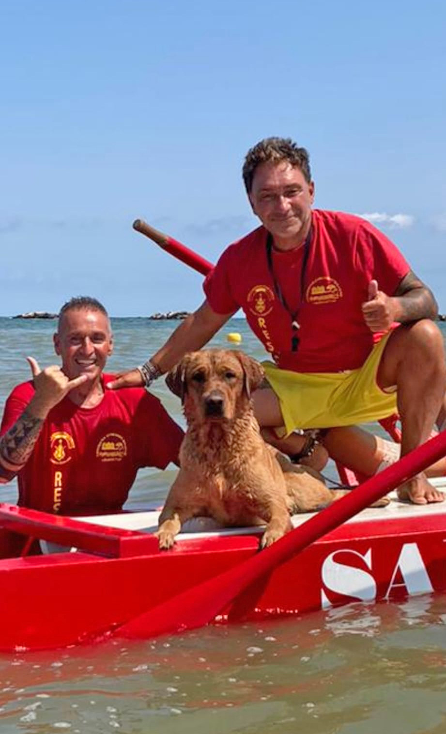 cani spiaggia cesenatico salvataggio