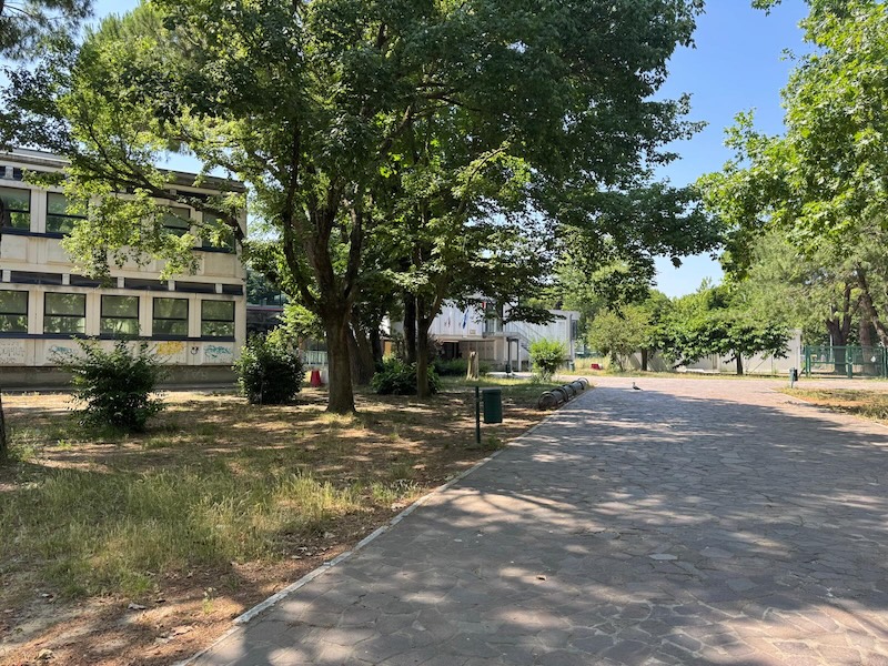 scuola media Arfelli