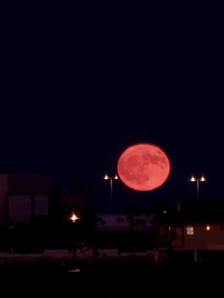 luna del cervo lia briganti