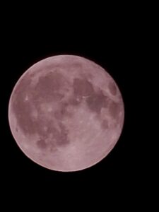 luna dello storione