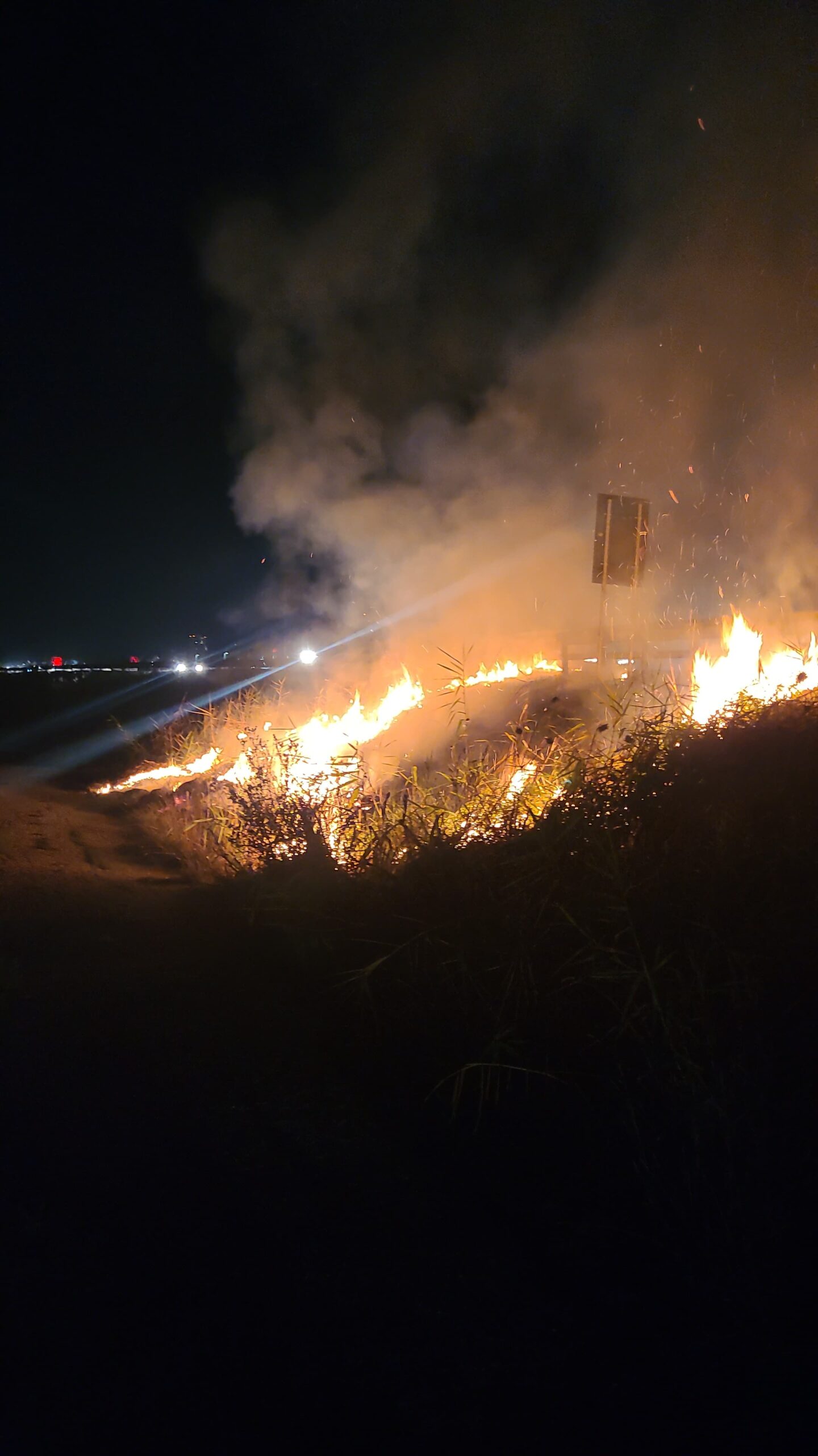 Incendio ai margini della Statale