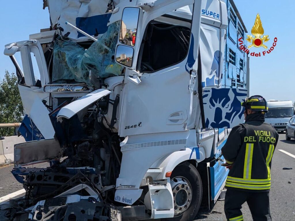 incidente a14 autostrada