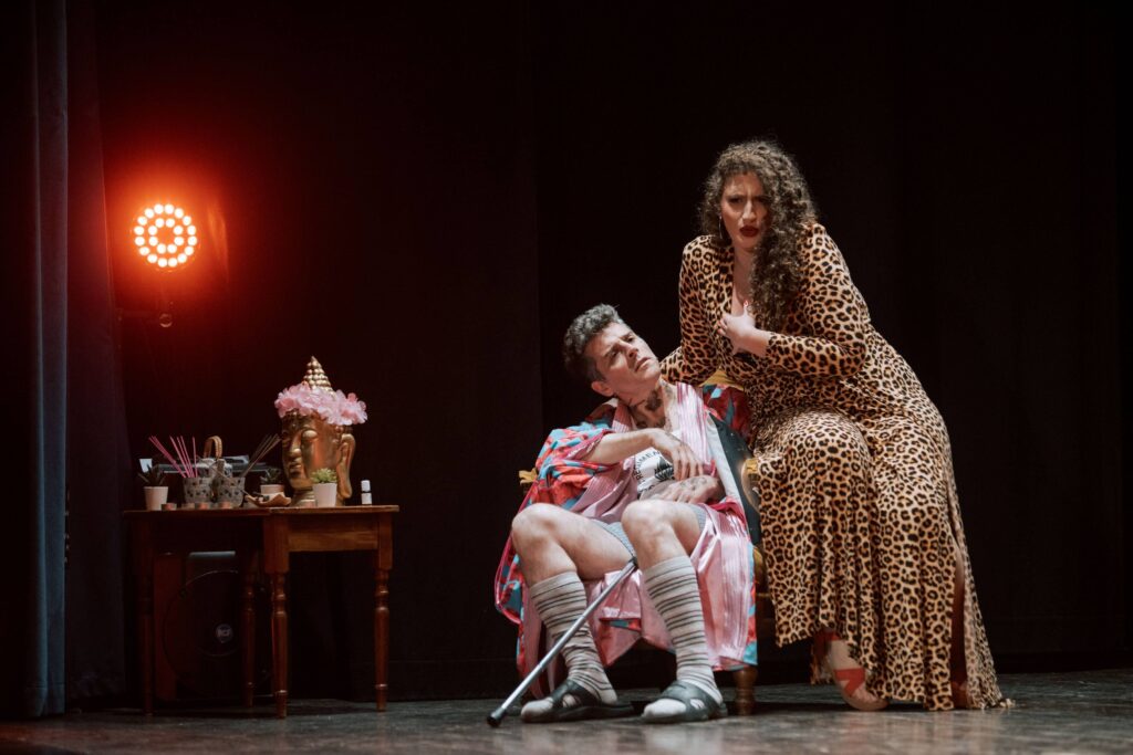 malato immaginario, spettacolo teatrale