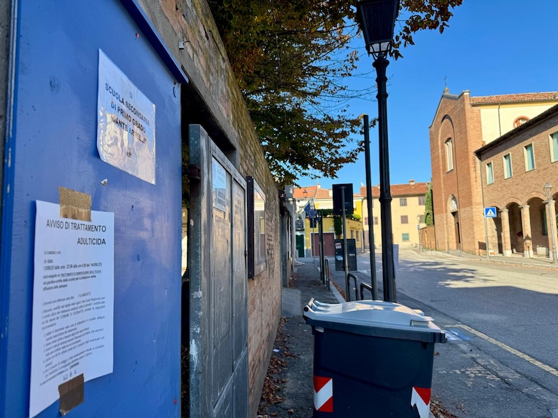 scuola media - saffi