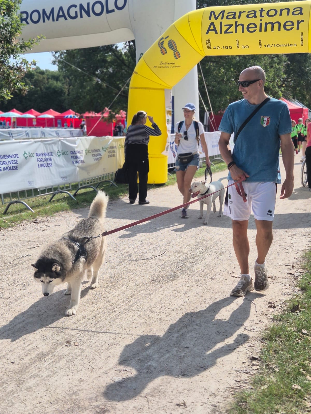 dog walking