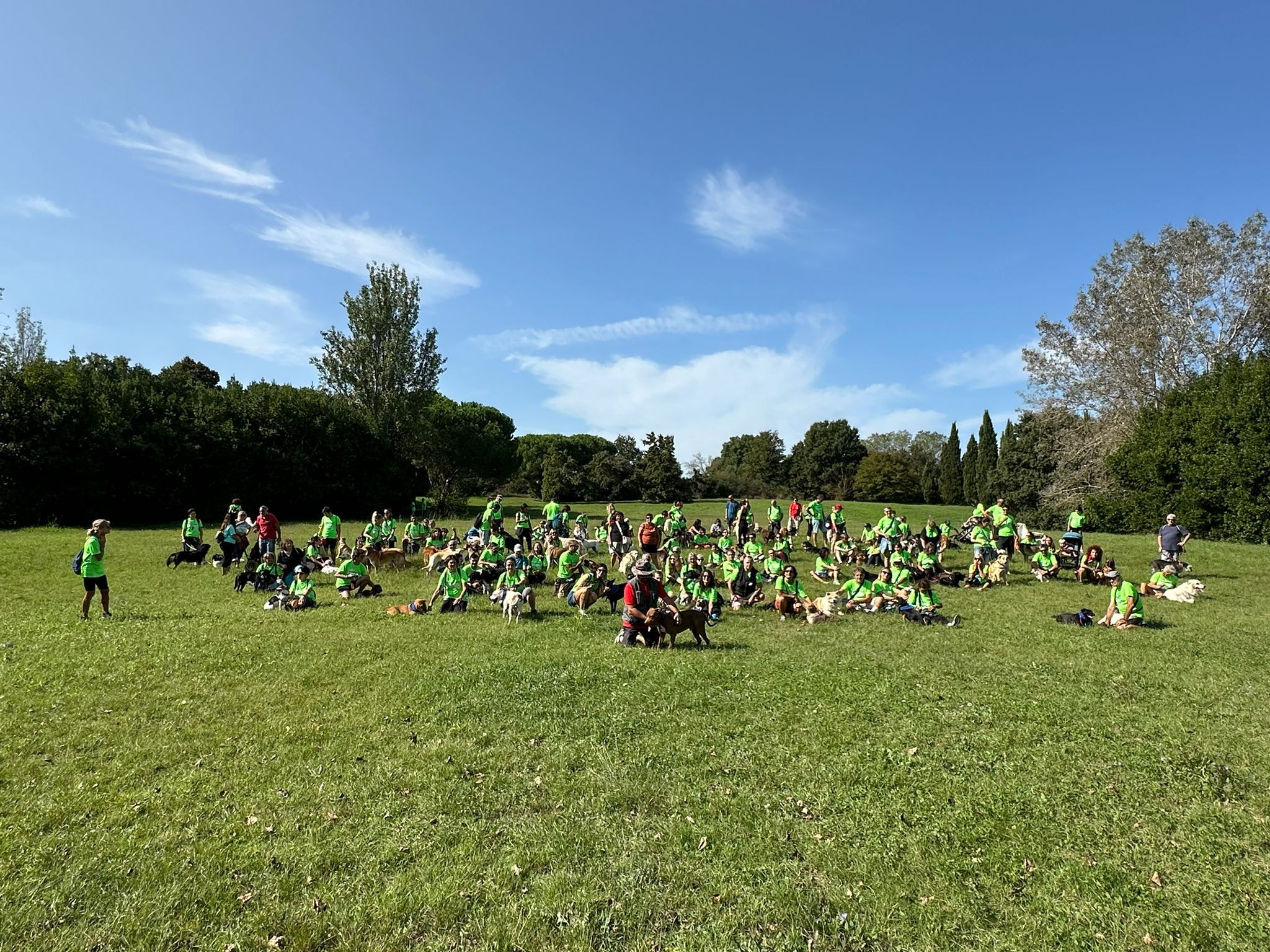 Quattro zampe, un grande cuore: Dog Walking per Maratona Alzheimer
