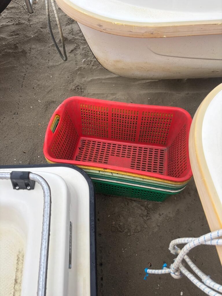Predatori di vongole