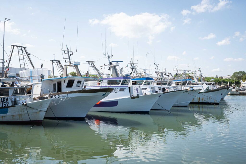 porto pesca