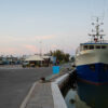 porto, mercato ittico sera cesenatico, pesca volante