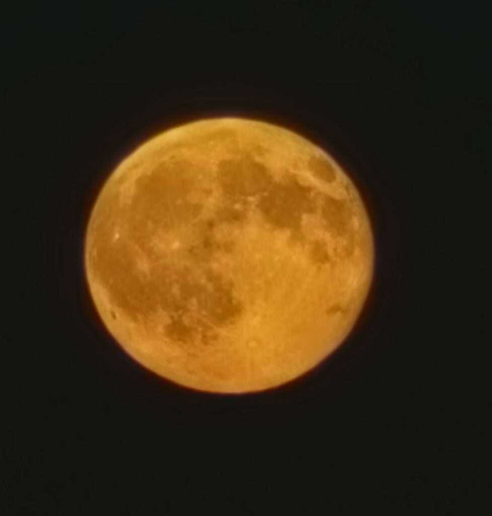 luna cacciatore cesenatico