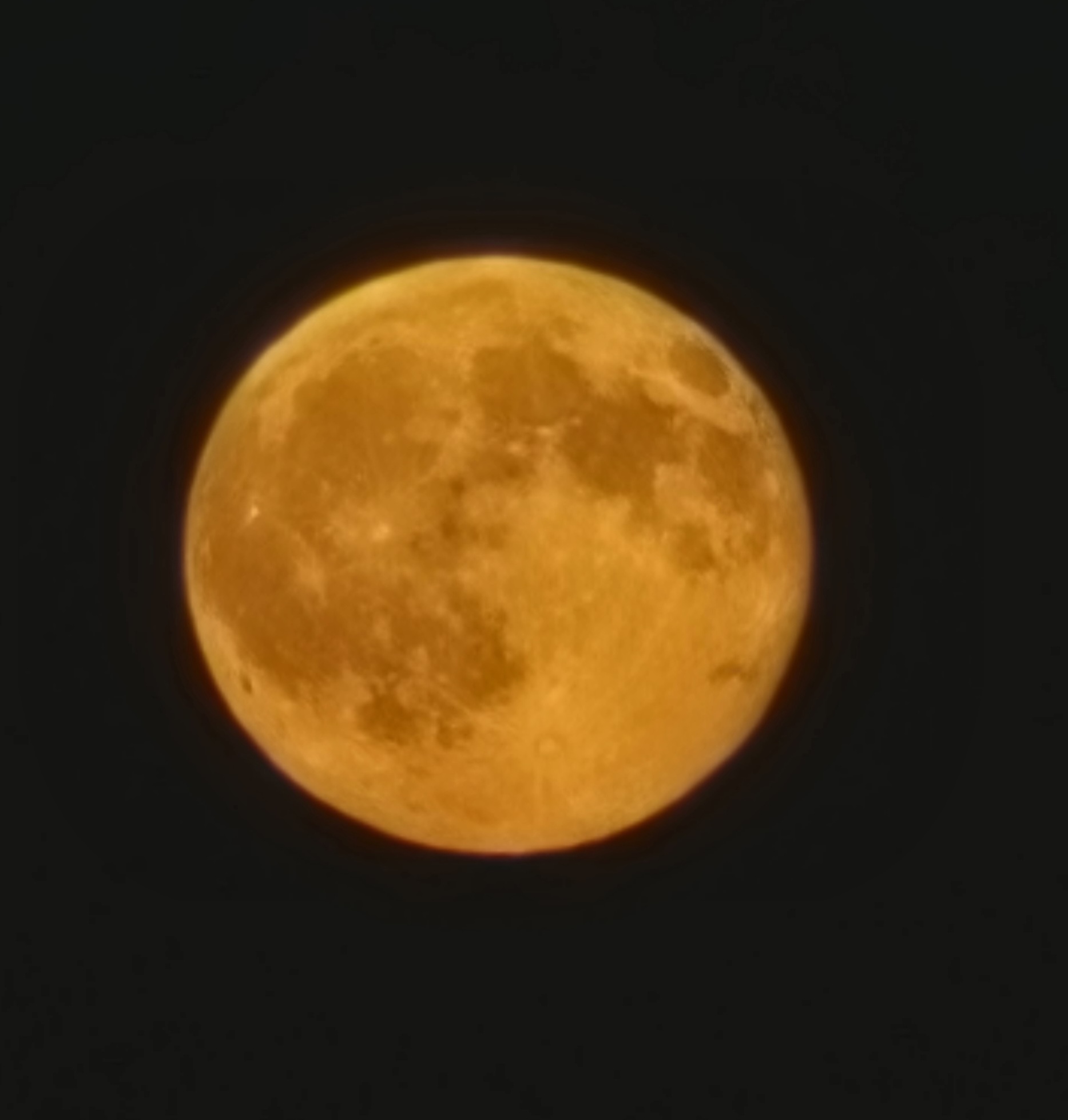 luna cacciatore cesenatico