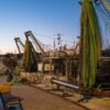 mercato porto pesca cesenatico