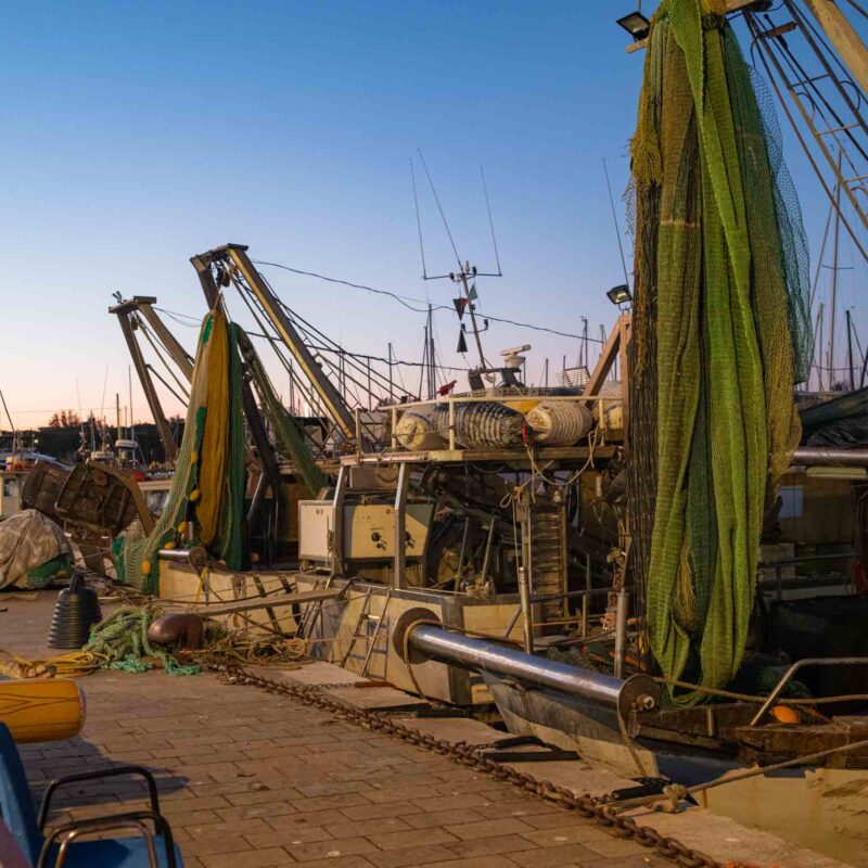 mercato porto pesca cesenatico