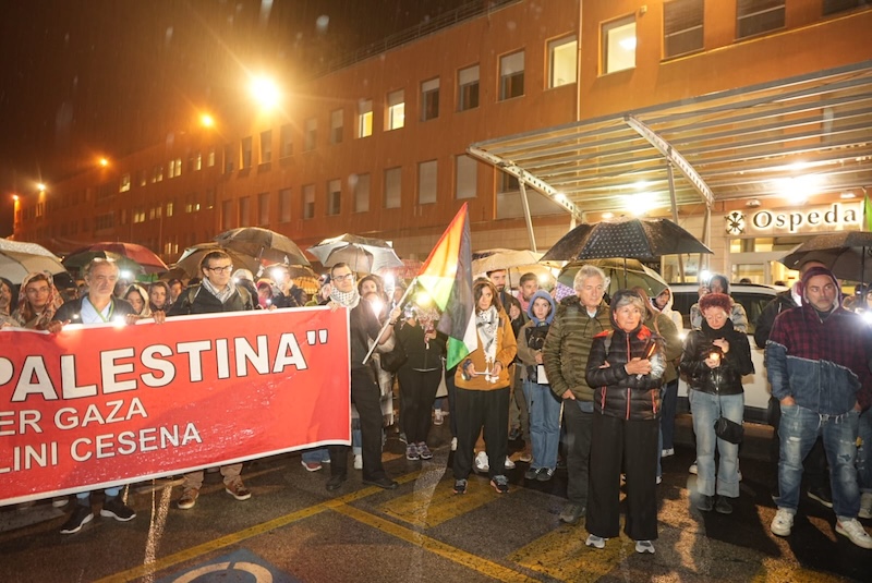 manifestazione pro palestina