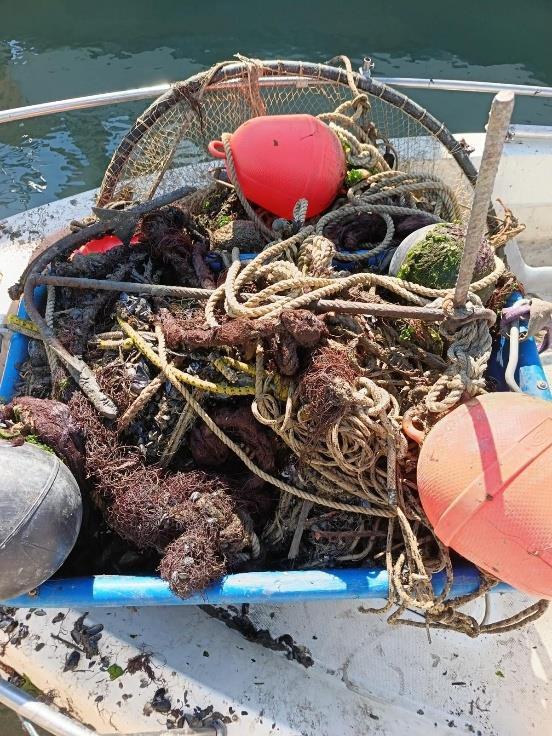 pesca abusiva cesenatico