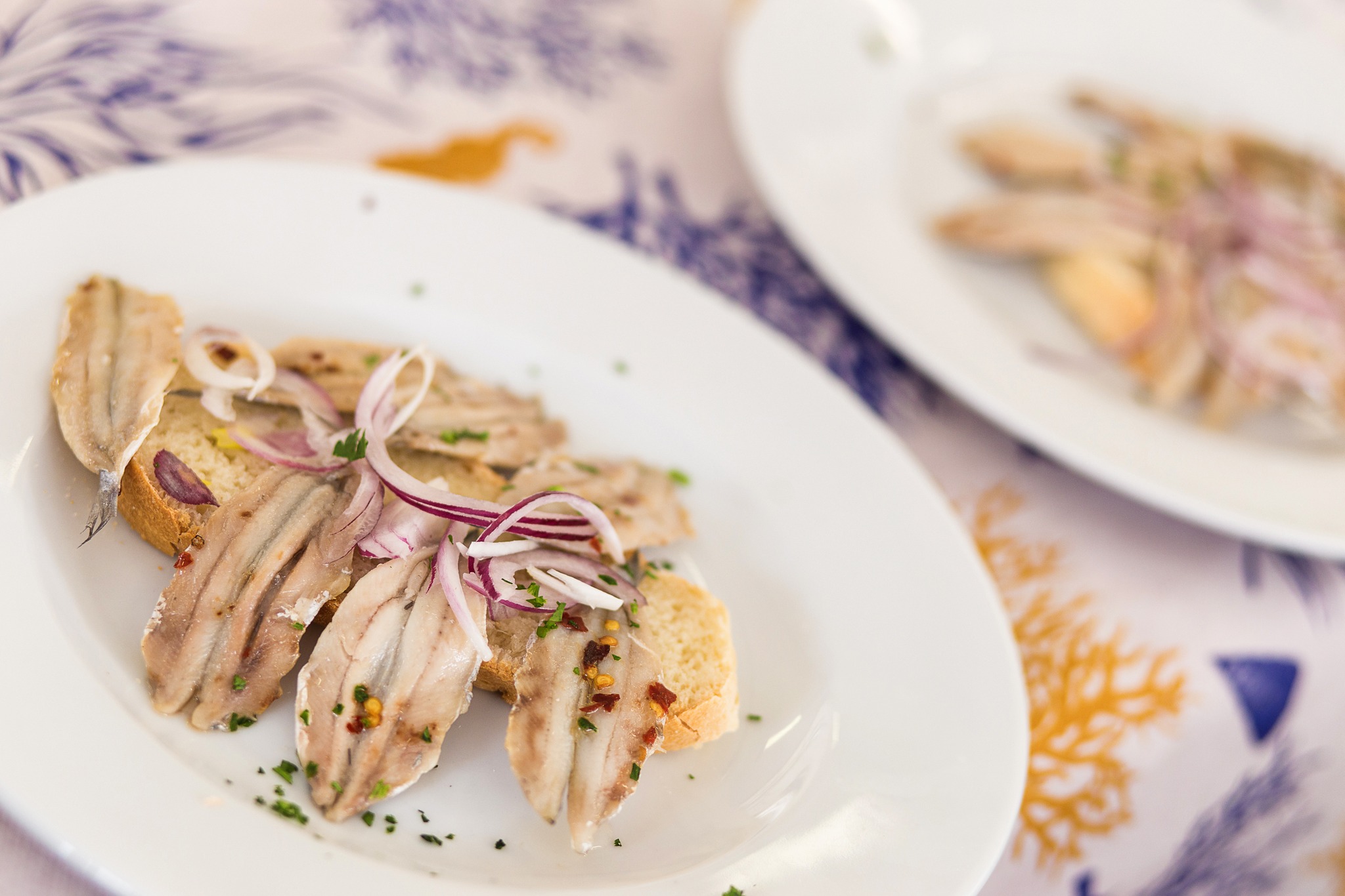 pesce fa festa
