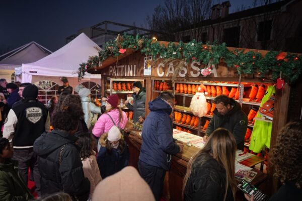pista del ghiaccio pista del ghiaccio