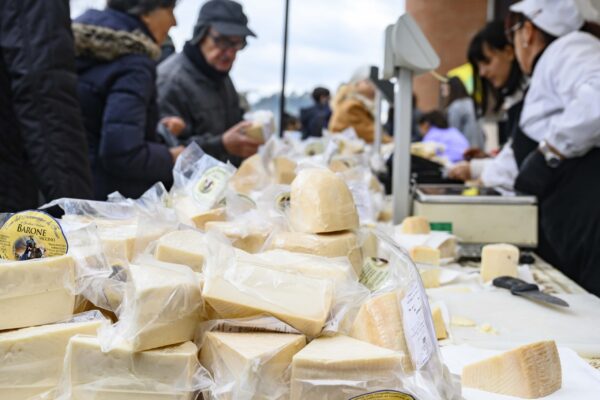 Sogliano - Formaggio di fossa (1) Sogliano
