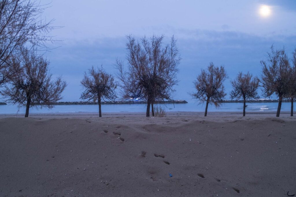 mare d'inverno 2024 cesenatico