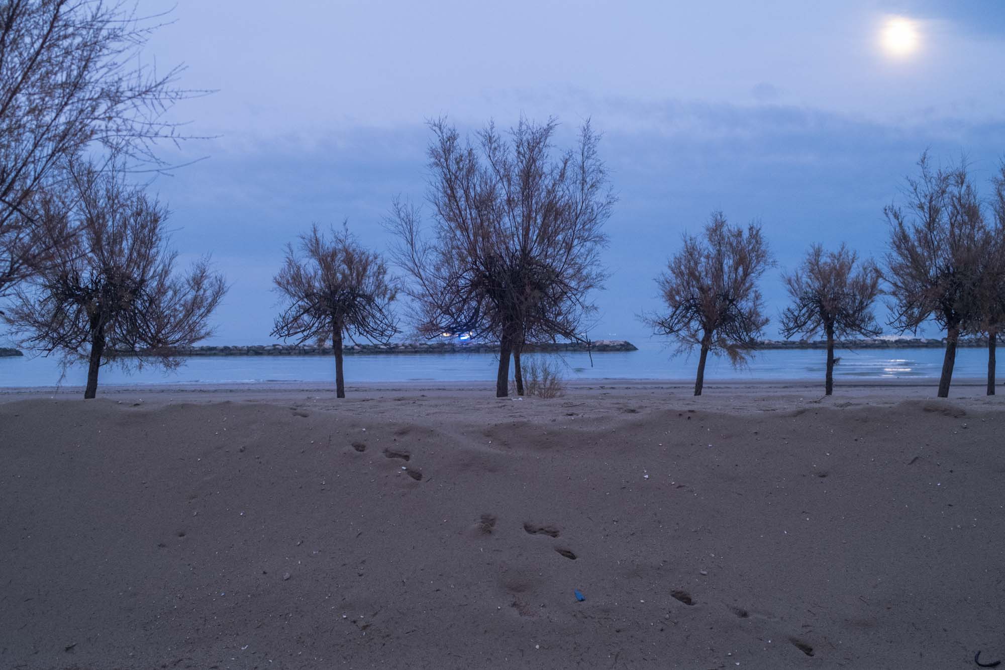 mare d'inverno 2024 cesenatico