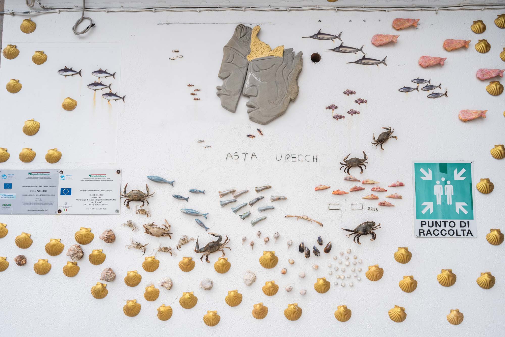 granchio blu mercato ittico