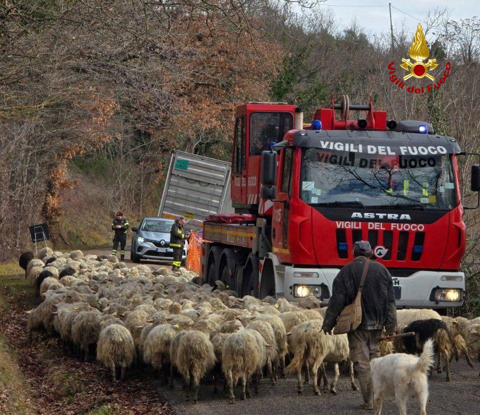tacchini vigili del fuoco