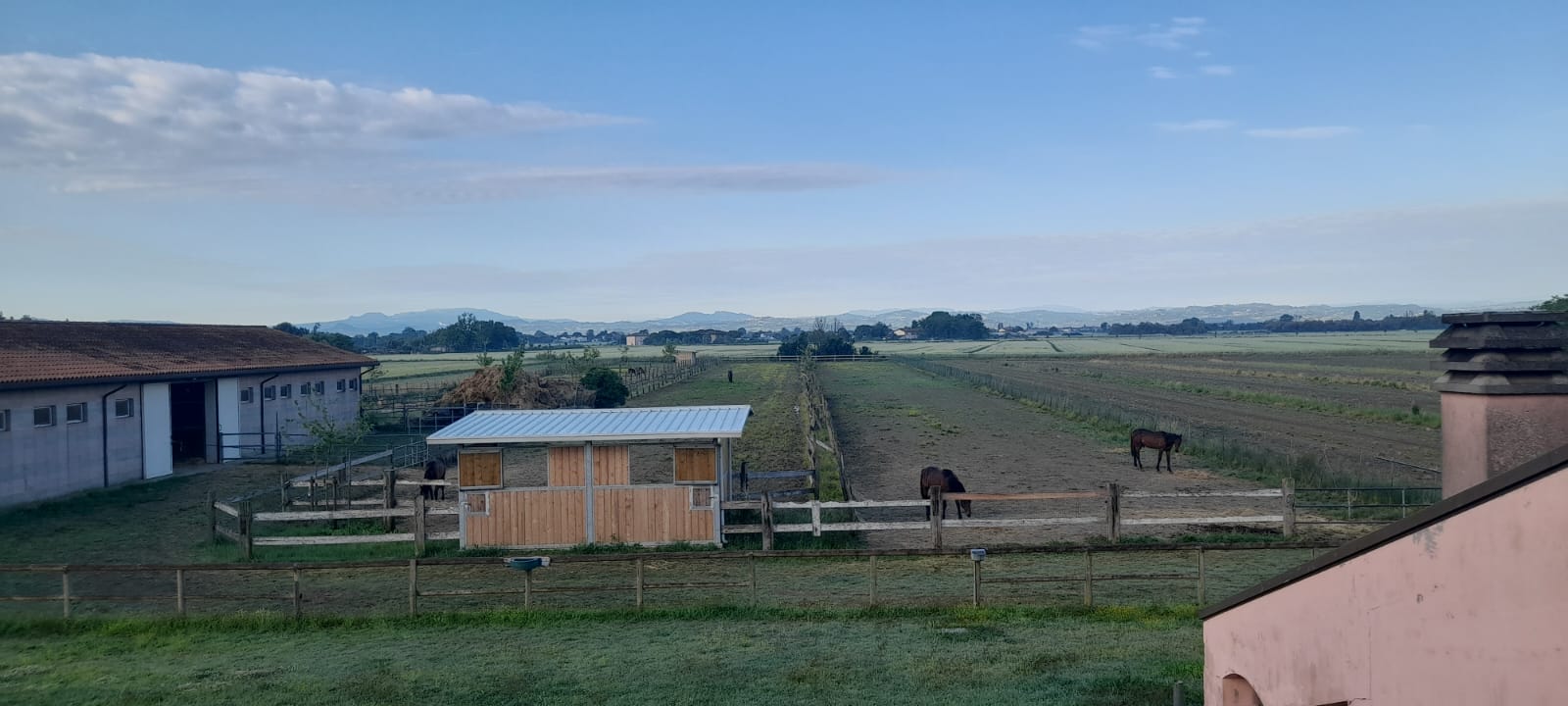 Allevamento Sapignoli