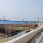 argine Pisciatello Sala