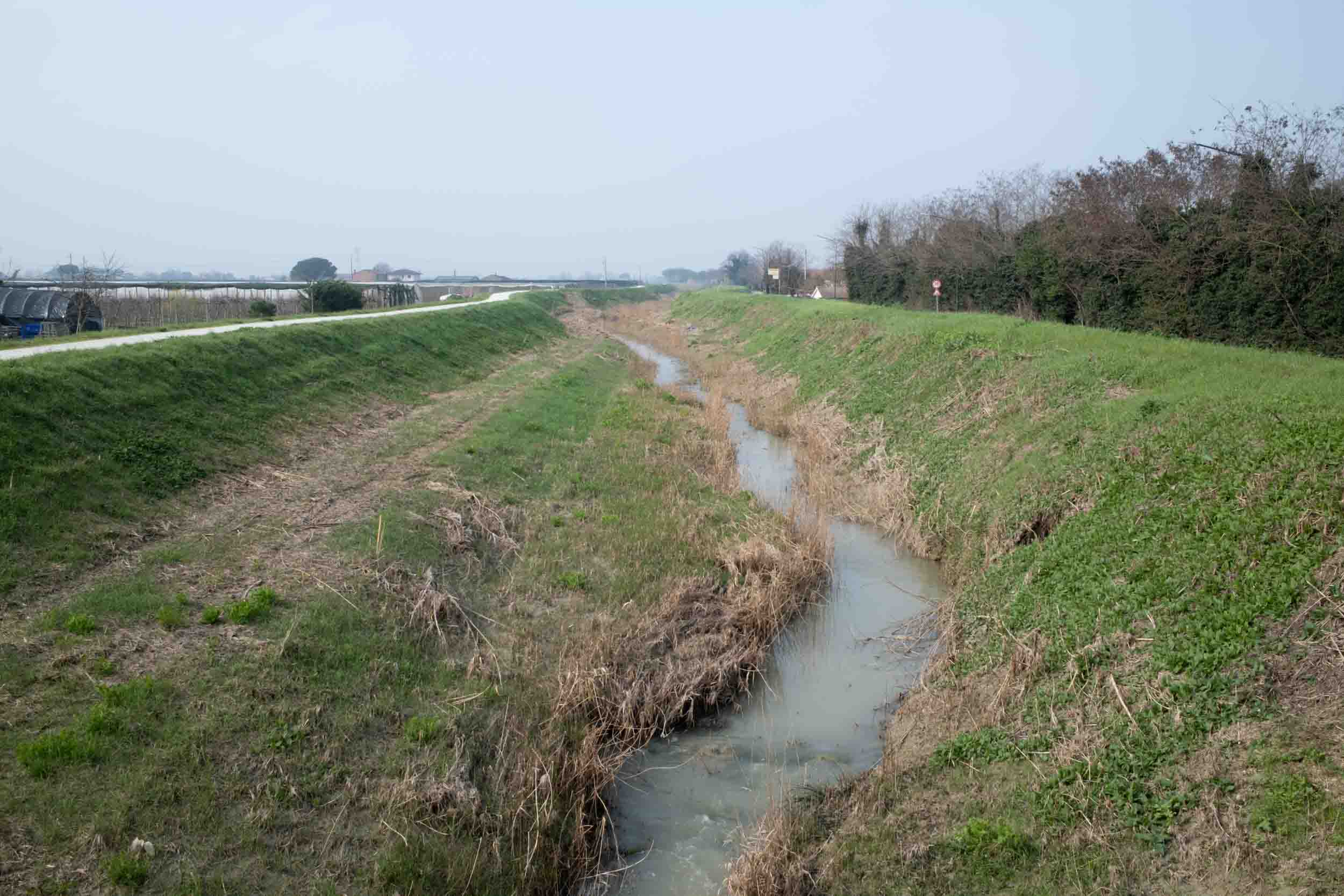 argine Pisciatello Sala