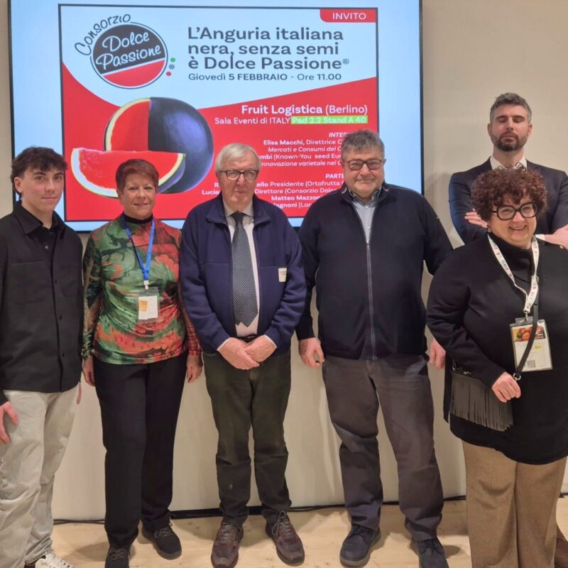 Dolce Passione - cocomero