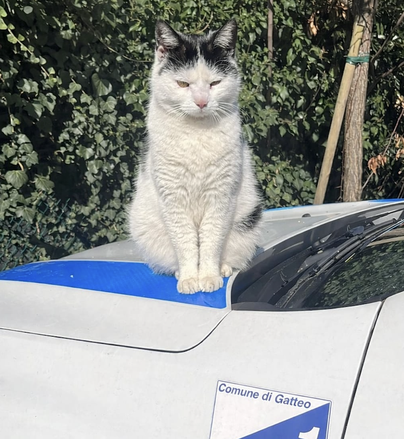 Polizia Locale gatteo