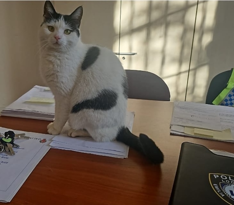 Polizia Locale gatteo