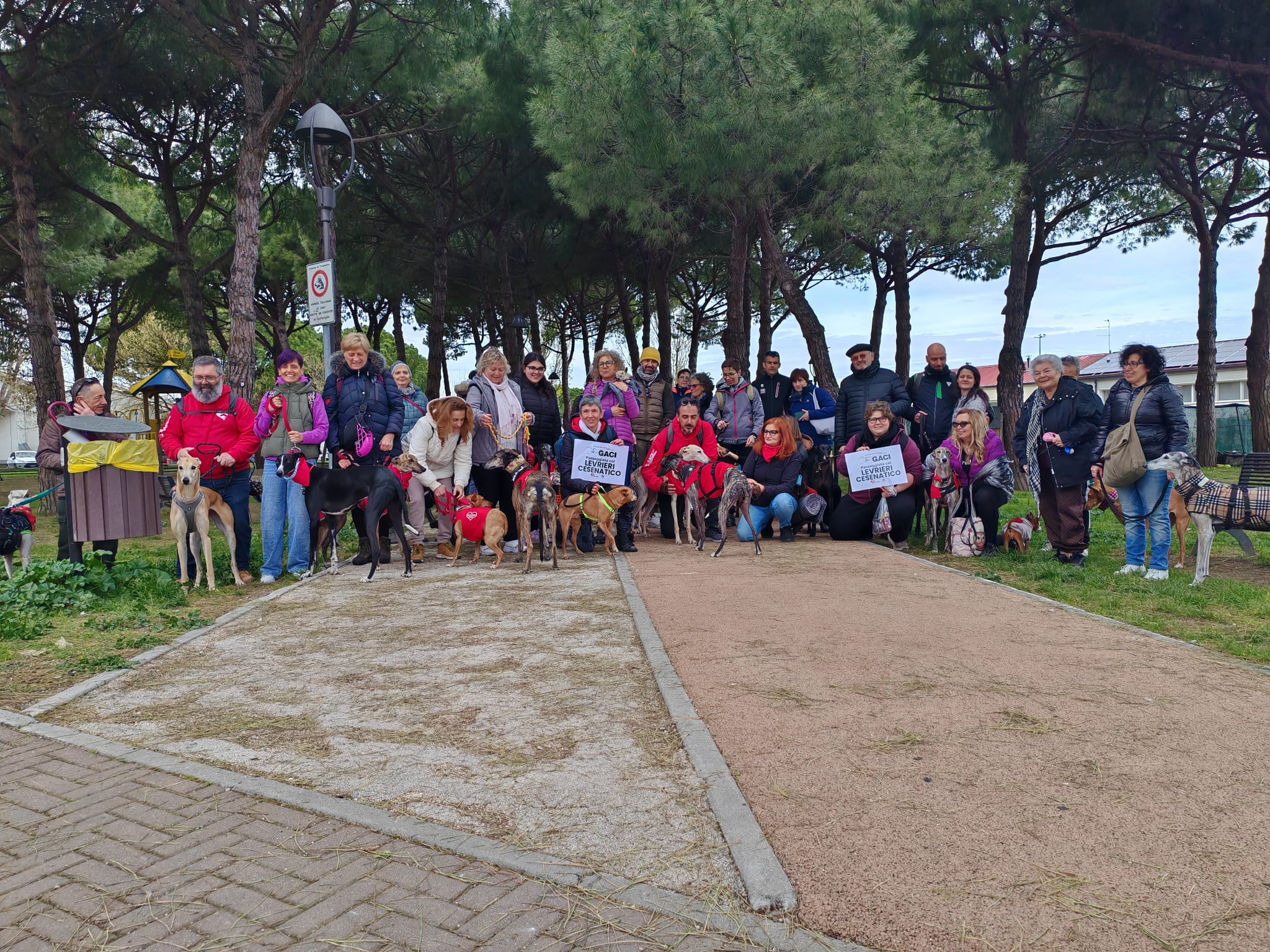 passeggiata GACI levrieri