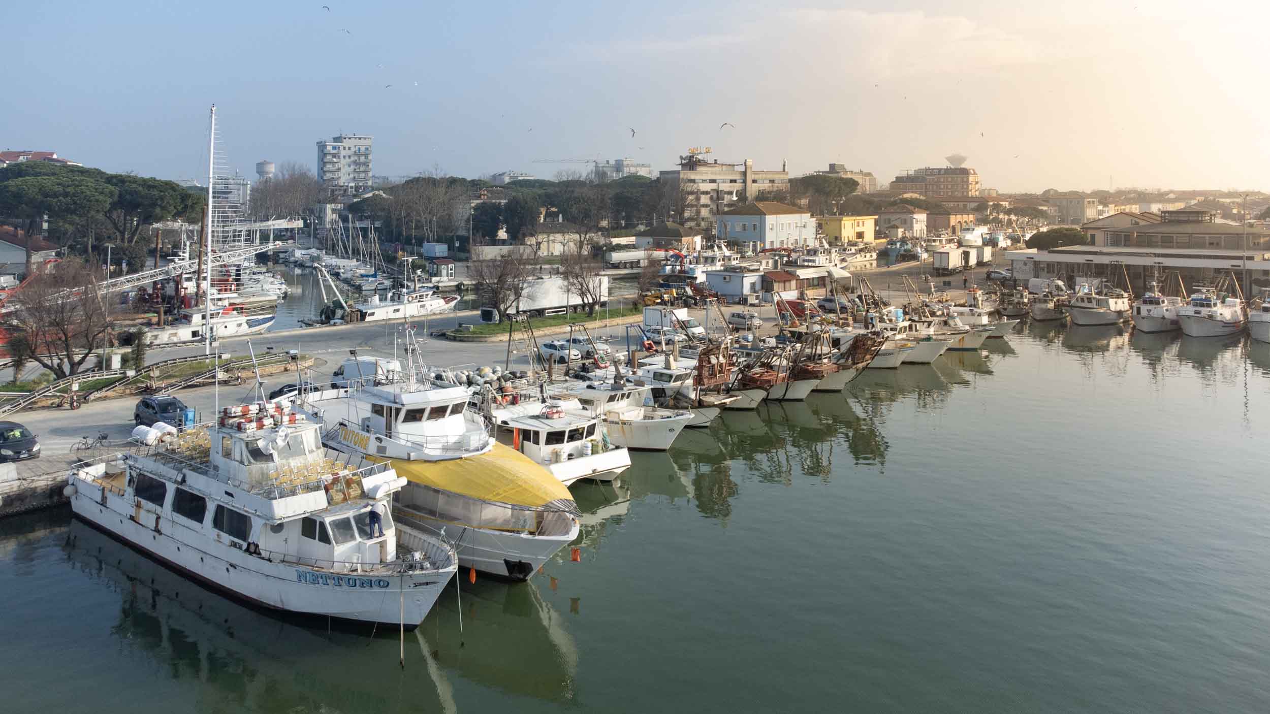 porto, mercato pesce