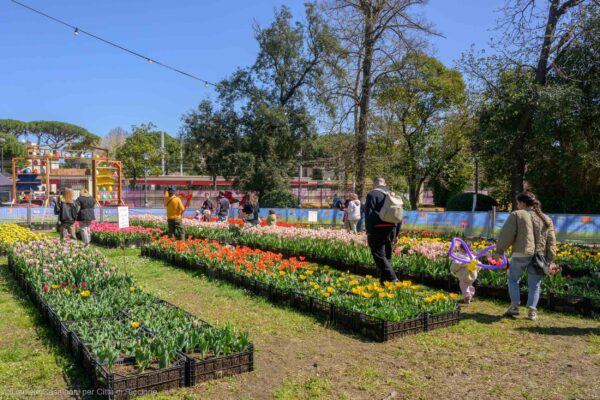 Riccione Parco Tulipani