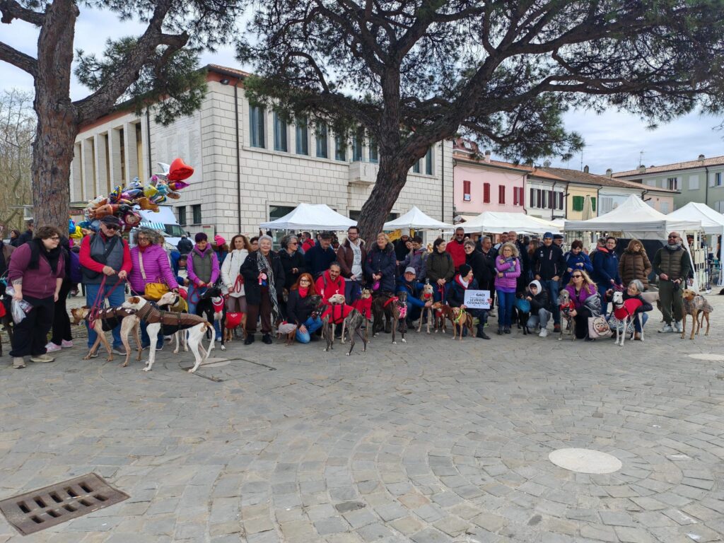 Passeggiata GACI levrieri