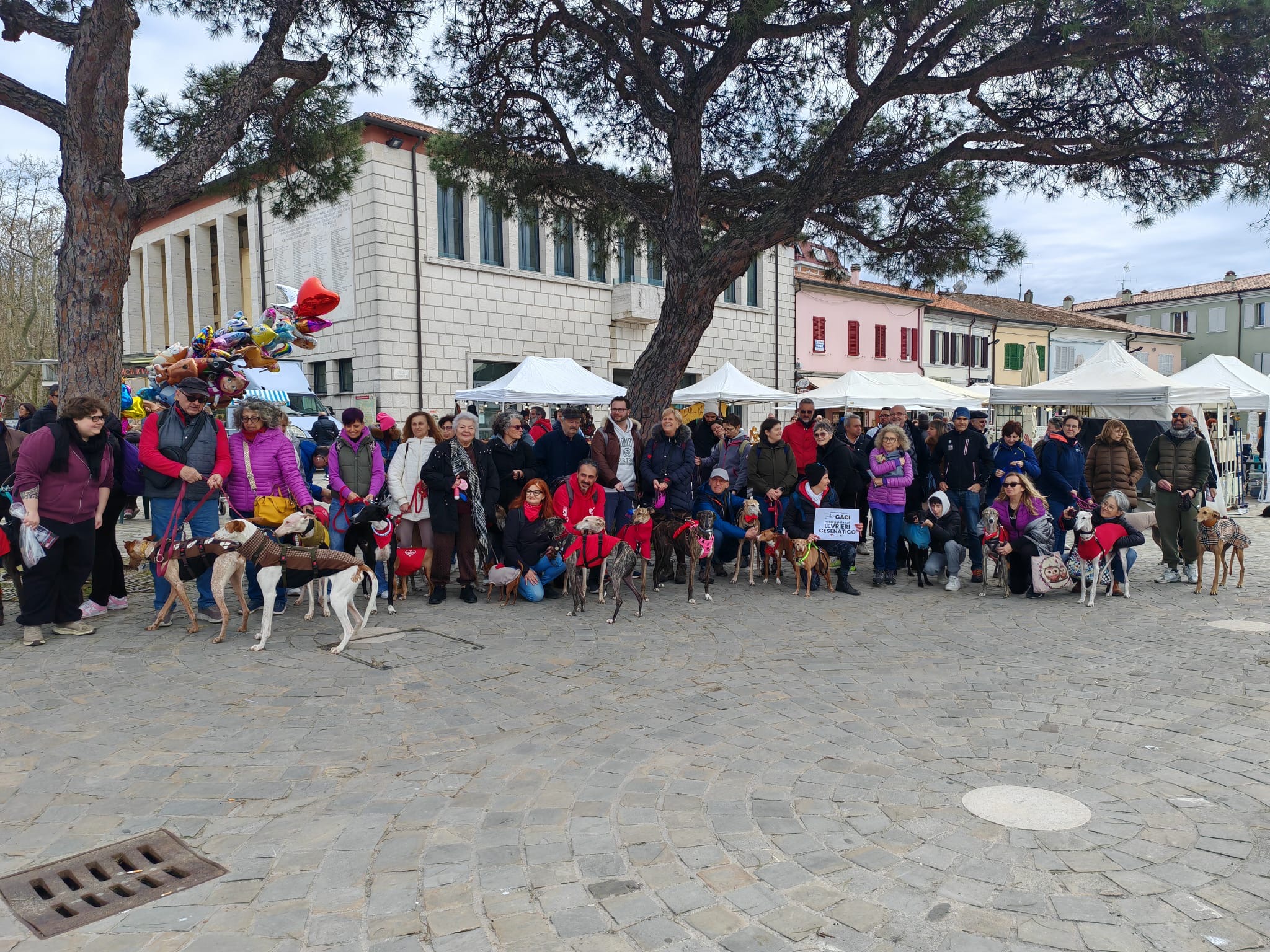 Passeggiata GACI levrieri