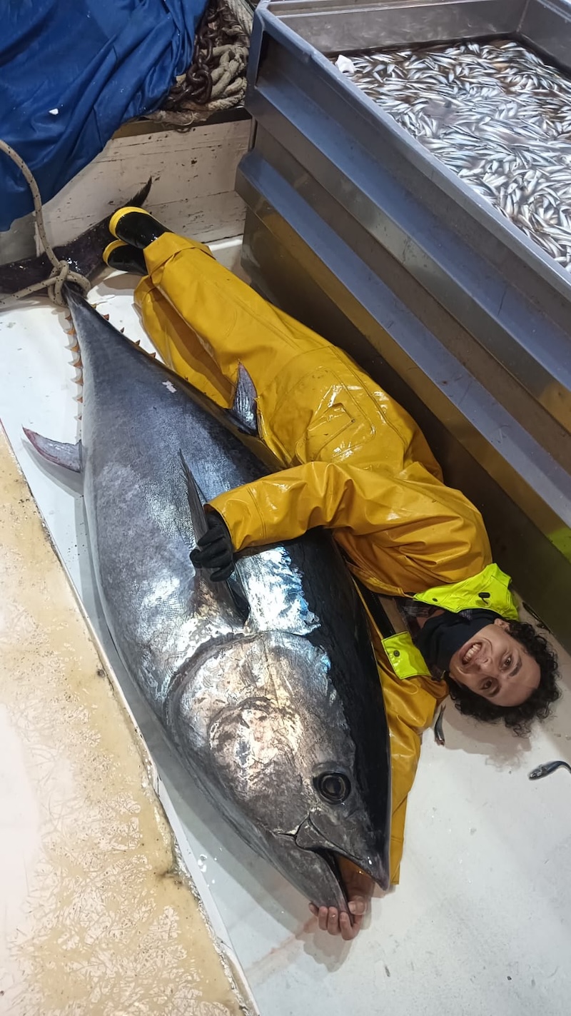 tonno - Madonna delle Grazie e Sirio