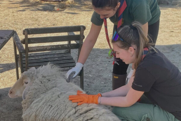 670340259_18415857613134056_7505784626506114736_n oasi desirè scout