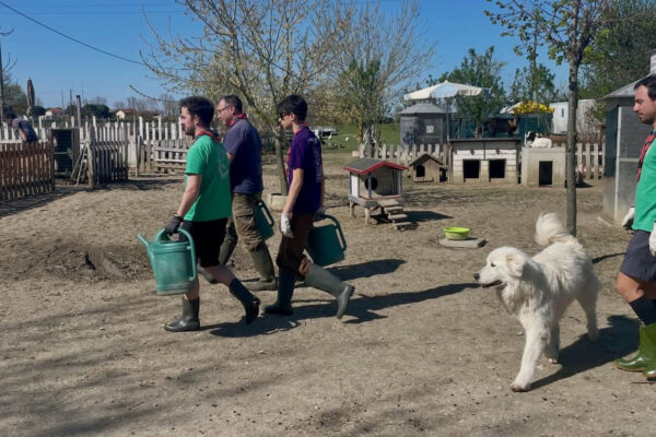 670607659_18415857574134056_3269142465383113580_n oasi desirè scout