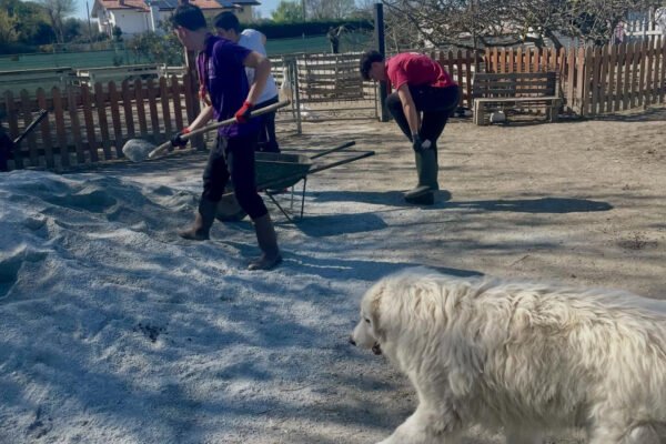 670770412_18415857592134056_1005303272088582845_n oasi desirè scout