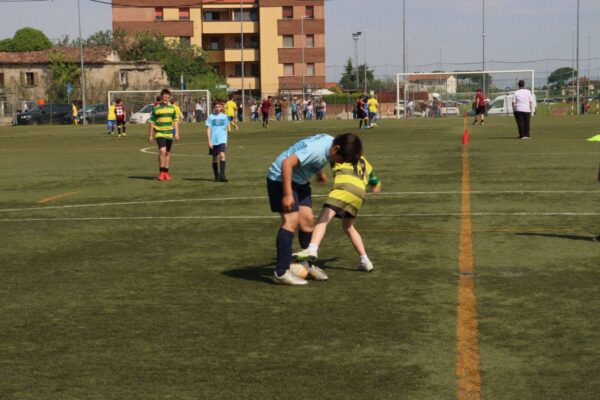 679777318_1413172930613206_4269931332889081980_n