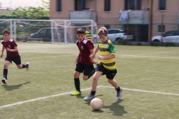 681871014_1413172630613236_3779862276344736699_n