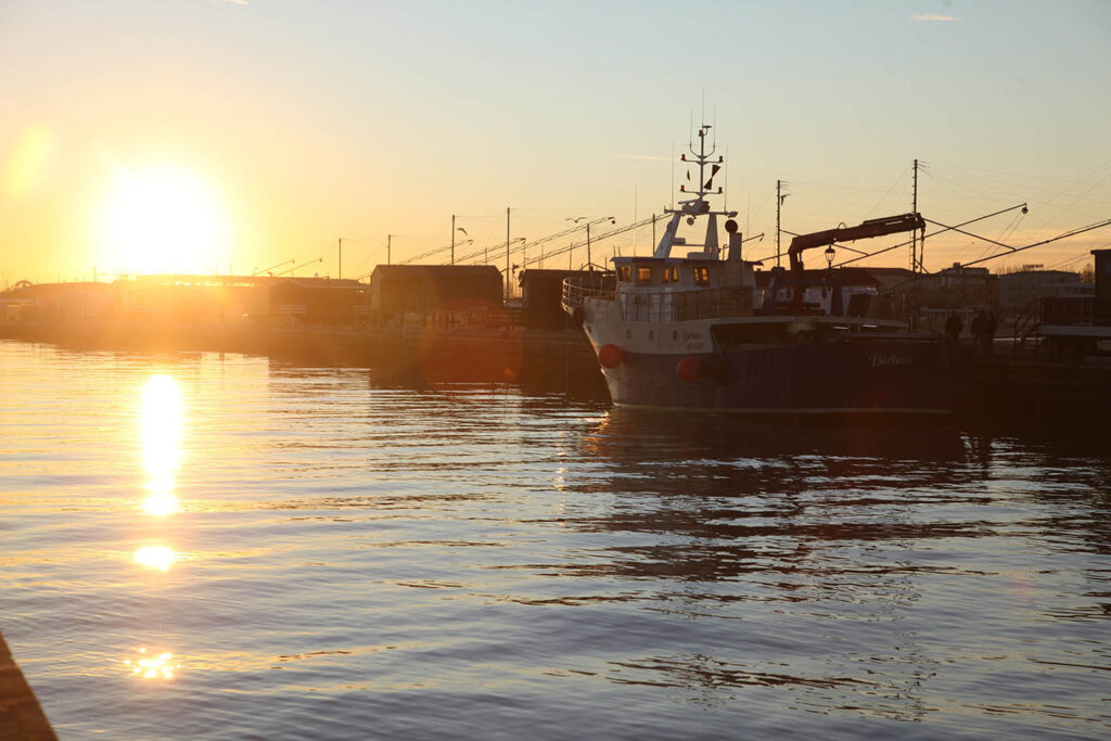 pesca peschereccio alba