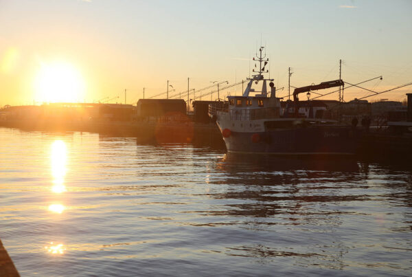 pesca peschereccio alba