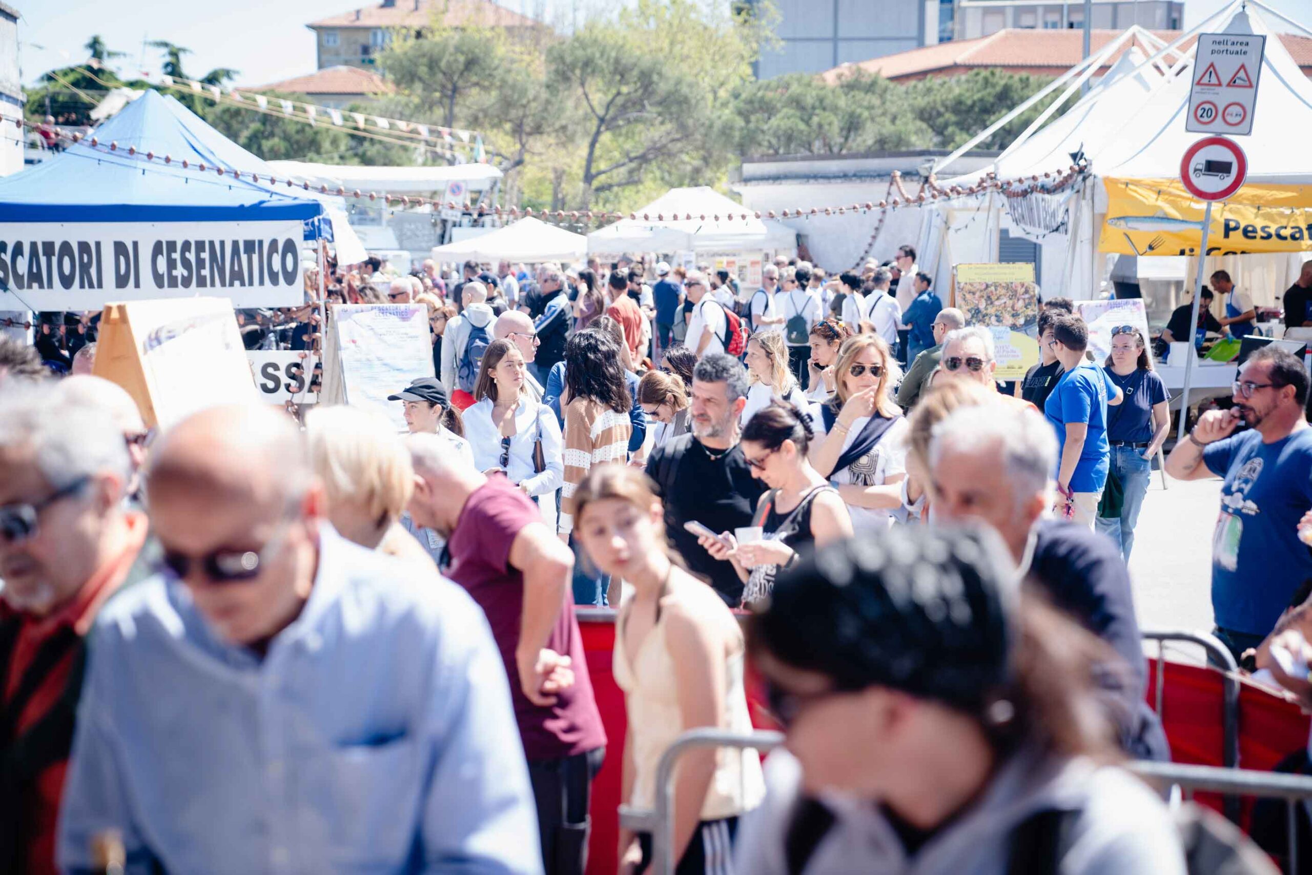 Azzurro come il pesce