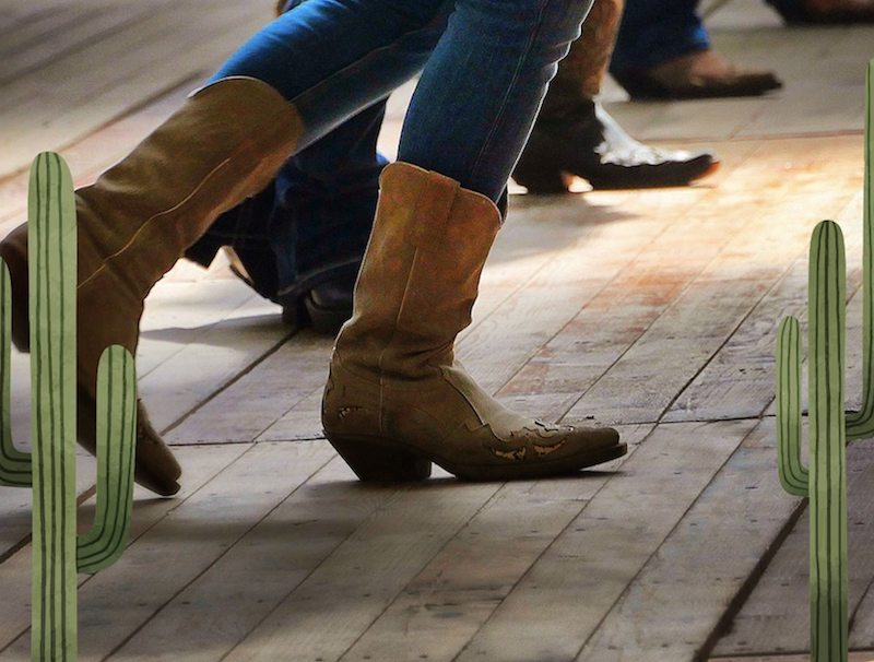 Country & Beer Festival