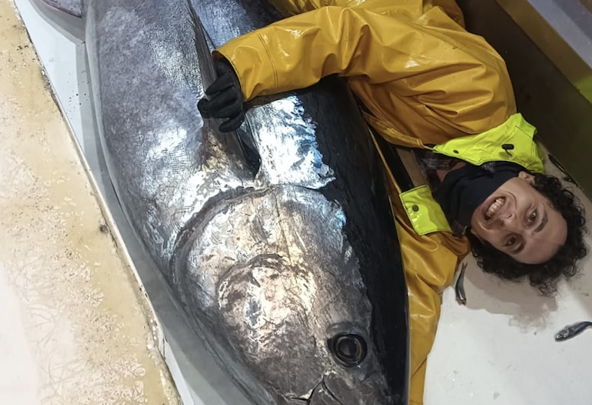 tonno - Madonna delle Grazie e Sirio
