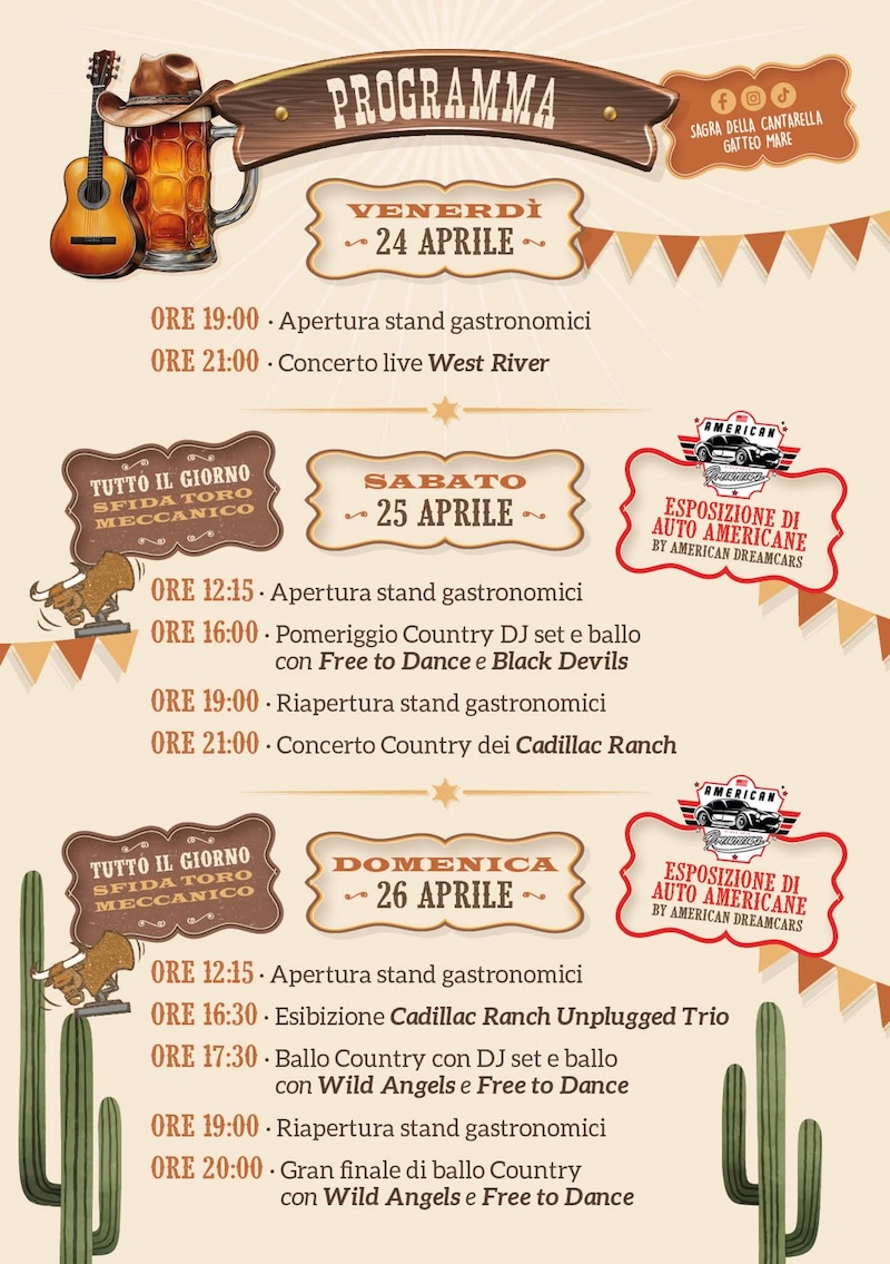 Country & Beer Festival