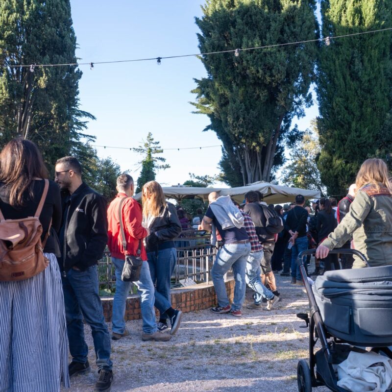 BiodiversyFest
